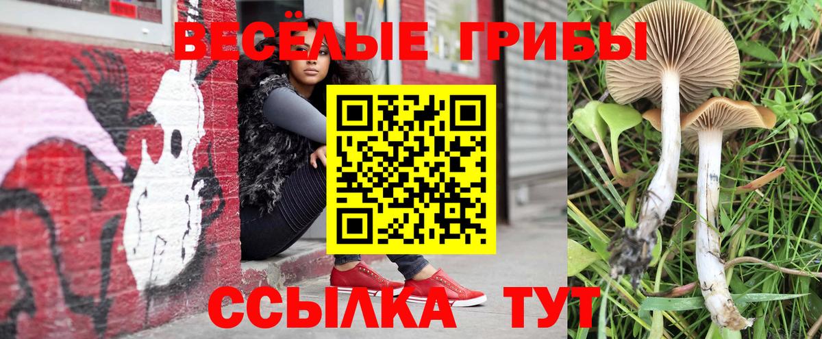 Галлюциногенные грибы Magic Shrooms  Вход с VPN  Усть-Илимск 