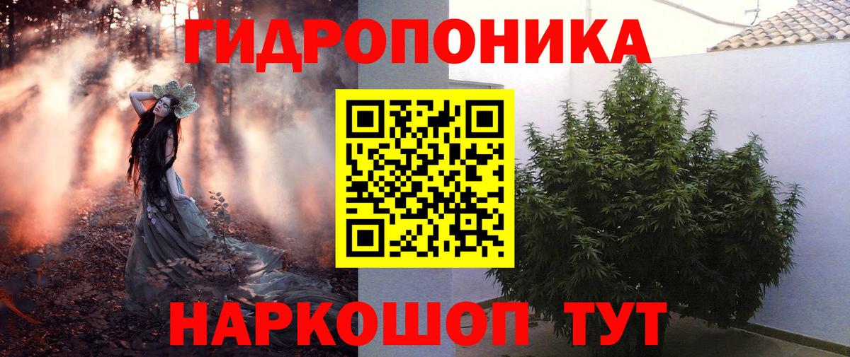 Шишки марихуана OG Kush Усть-Илимск